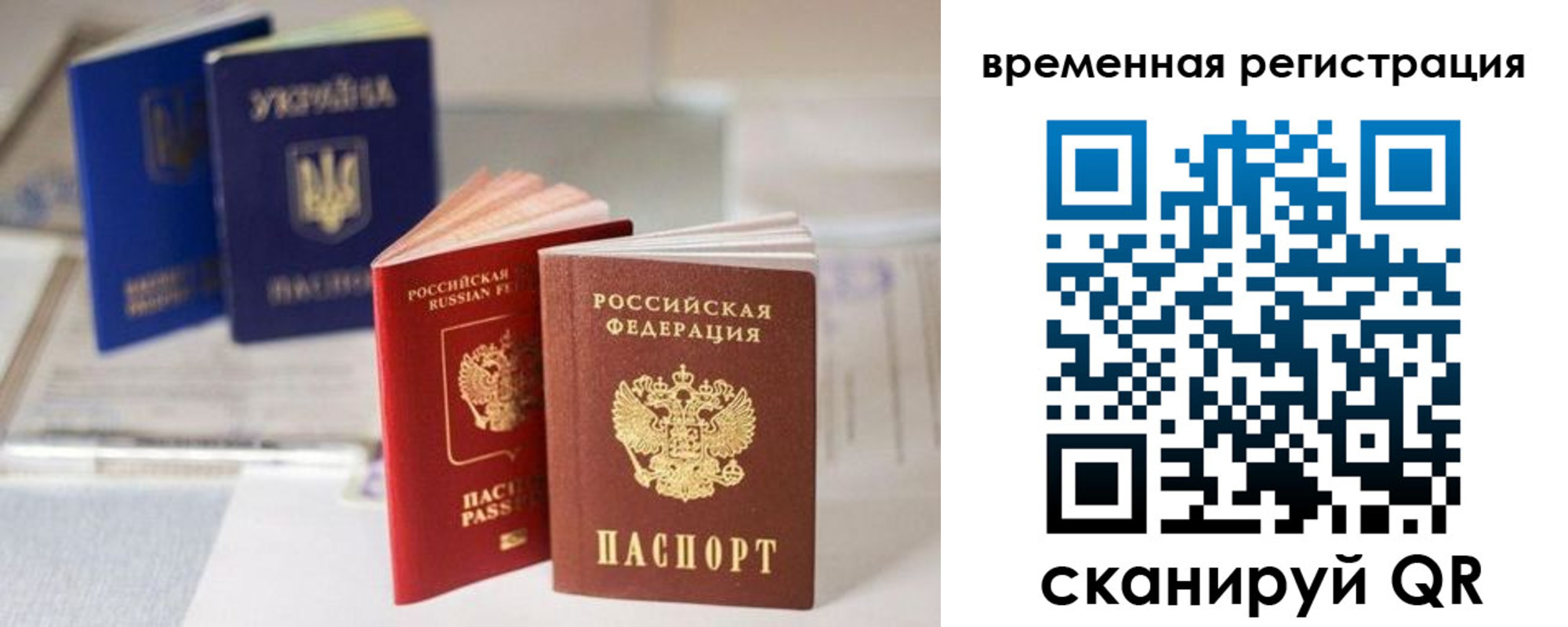 прописка поиск в Волоколамске